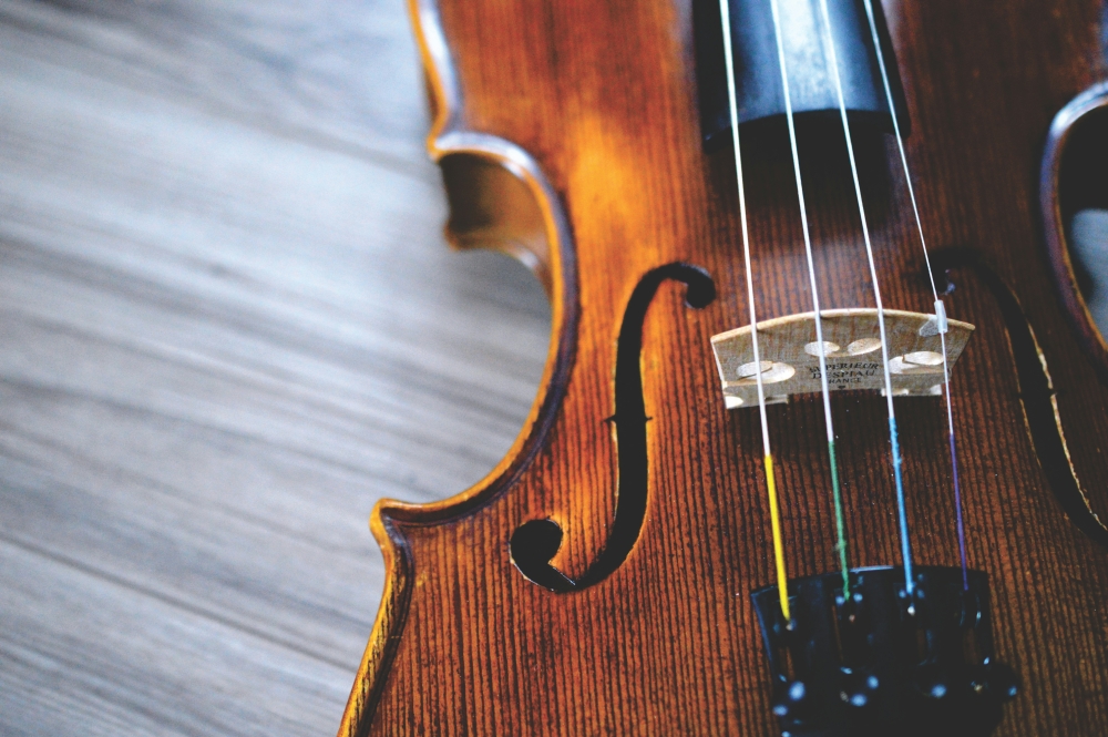 up close of a stringed musical intsrument